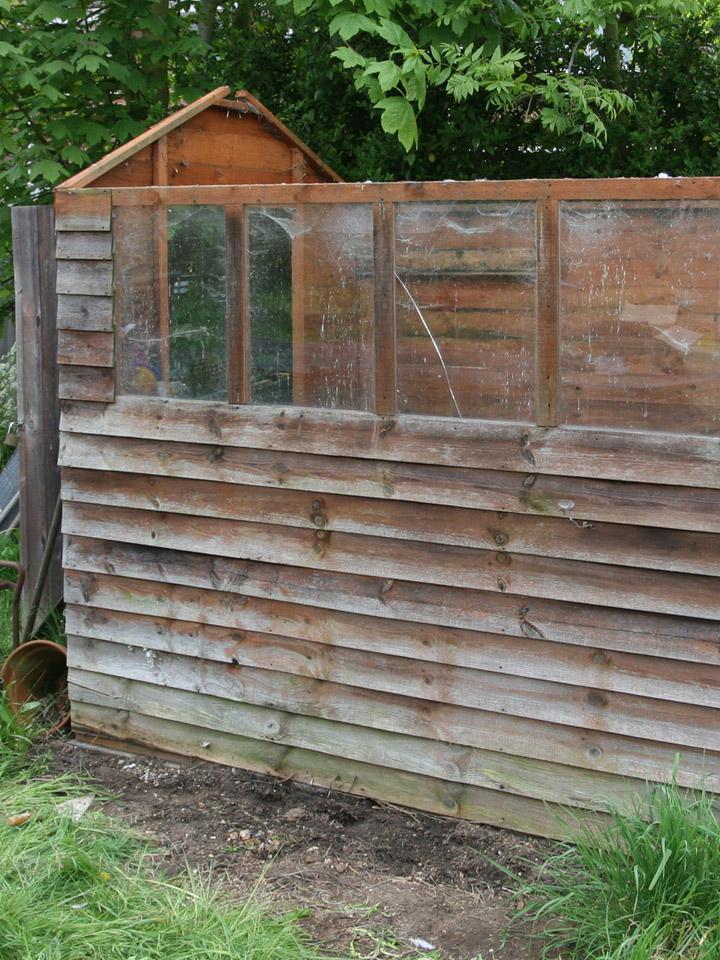Shed in Garden that is Very Beat Down